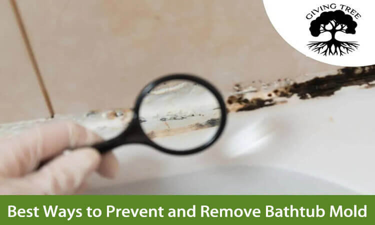 Best Ways to Prevent and Remove Bathtub Mold