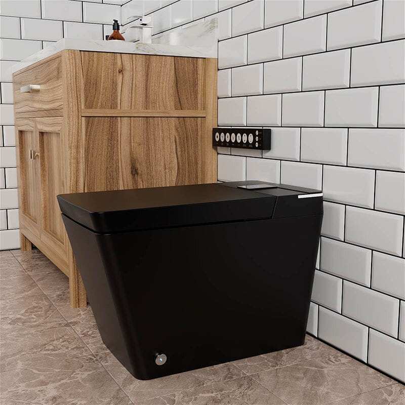 Giving Tree One-Piece Floor Mounted Square Smart Toilet with Remote Control and Automatic Cover