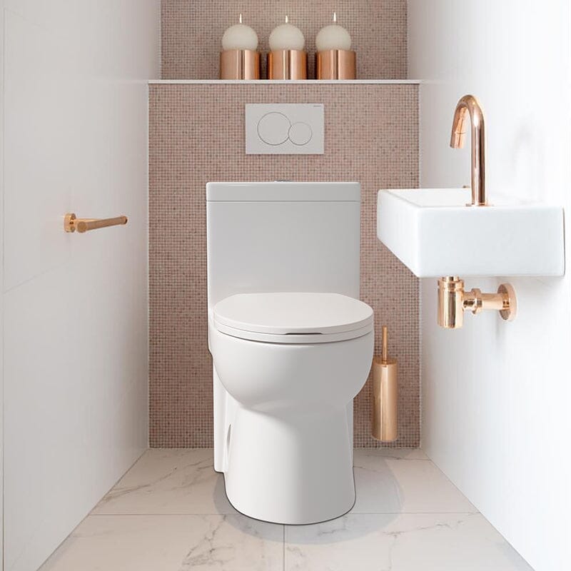 Giving Tree Powerful & Quiet Dual Flush Modern One Piece Toilet with Soft Closing Seat