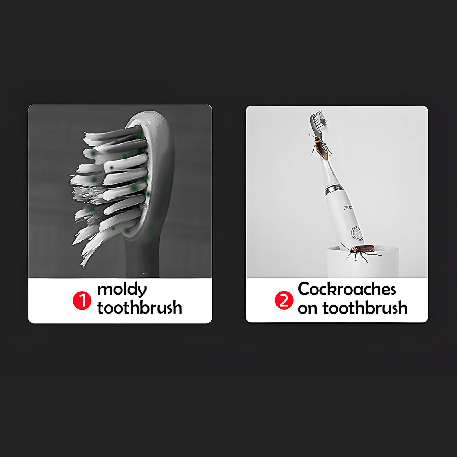 UV Disinfecting Toothbrush Holder Wall Mounted with Cover, Auto Open/Close Covered for Bathroom