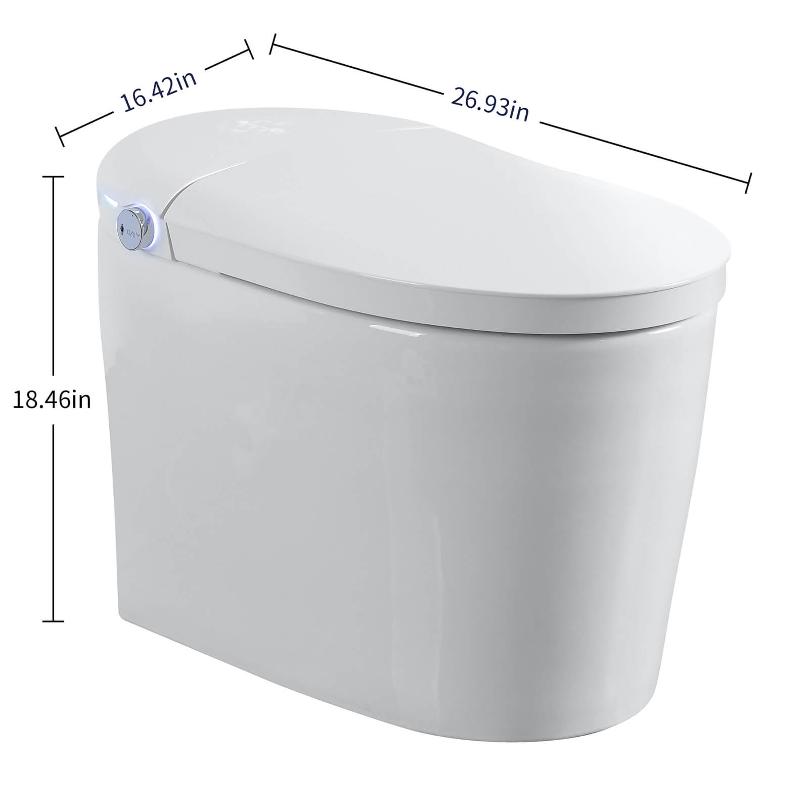 S31 G Dimensions