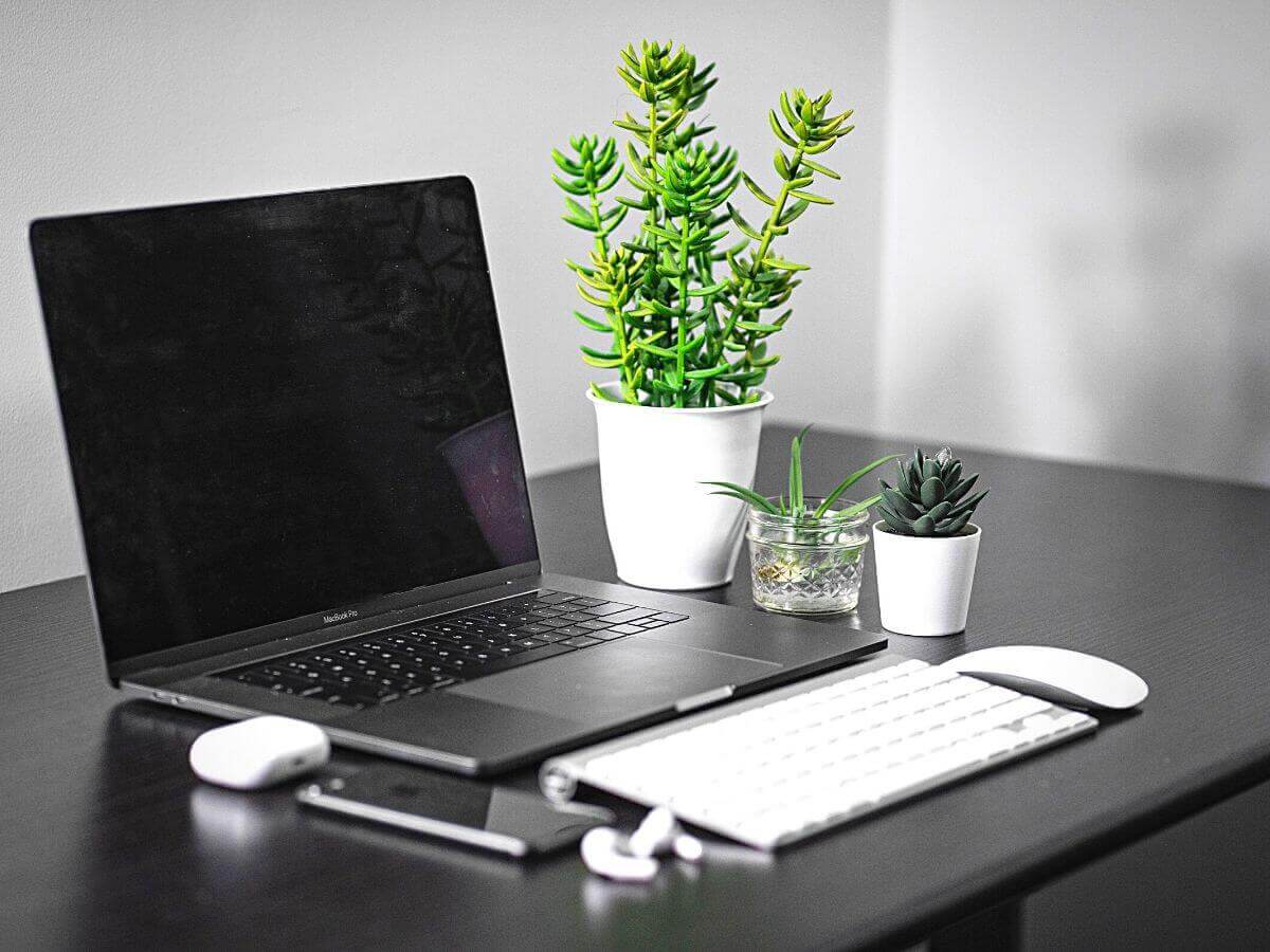 There are green plants on the computer desk