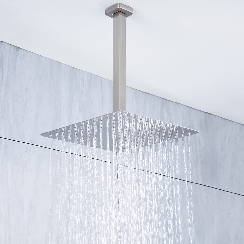 Ceiling Mount Shower 2 Spray Patterns with 12 in. Rain Shower Head Systems