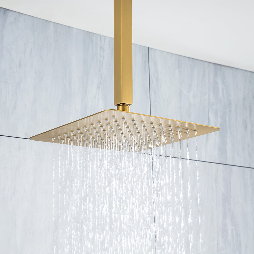 Ceiling Mount Shower 2 Spray Patterns with 12 in. Rain Shower Head Systems