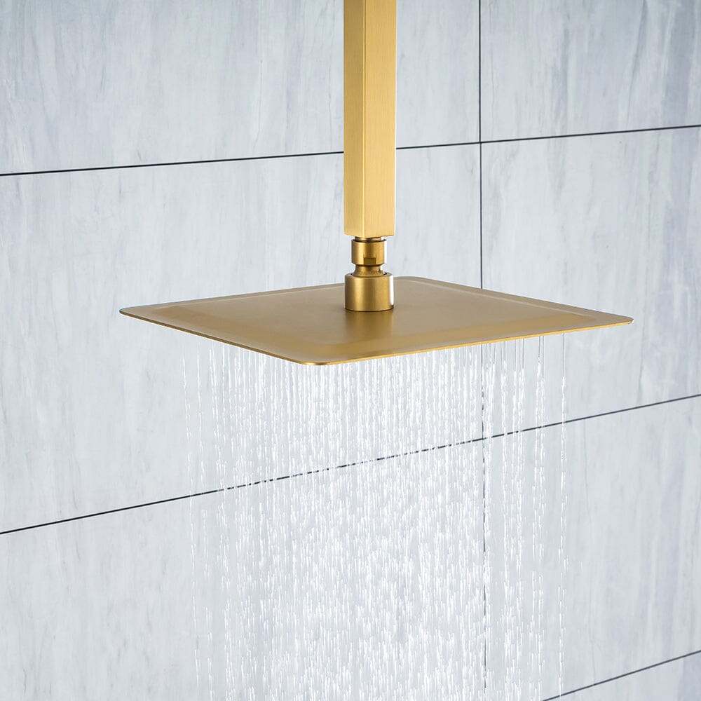 Ceiling Mount Shower 2 Spray Patterns with 12 in. Rain Shower Head Systems