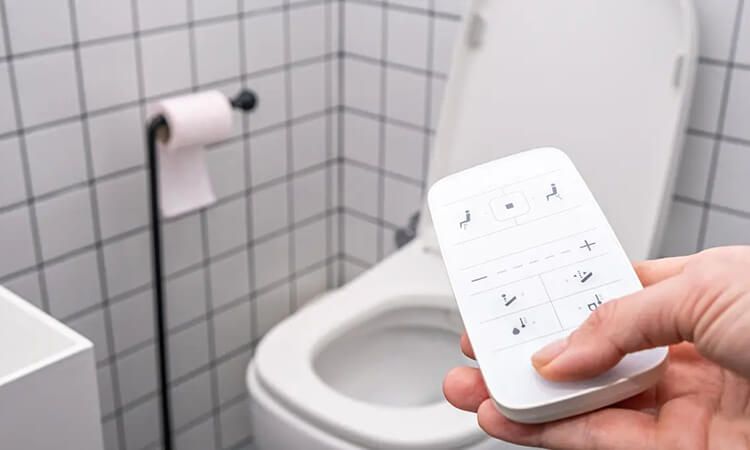 Bidet vs. Smart Toilet