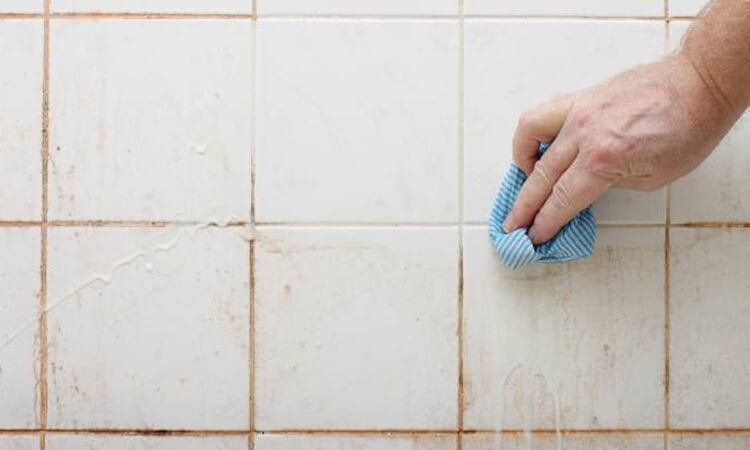 Causes of Bathroom Mold and How to Prevent It