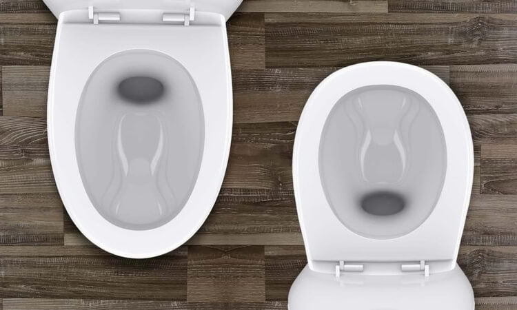 Elongated vs. Round Toilets
