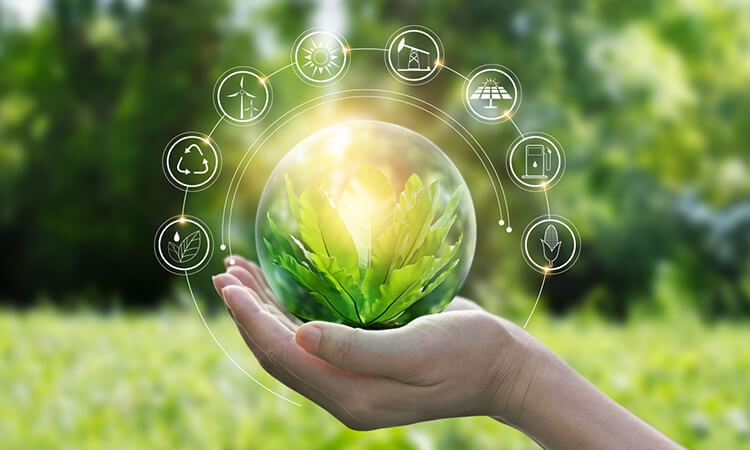 Giving Tree Home’s Commitment to a Greener Future