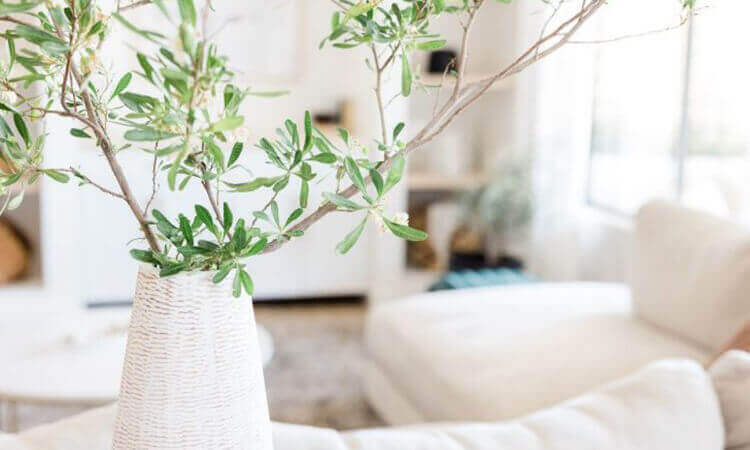 How to Create a Calm and Peaceful Home Environment - Giving Tree