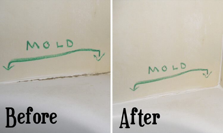 Remove and Prevent Black Mold in Bathtubs