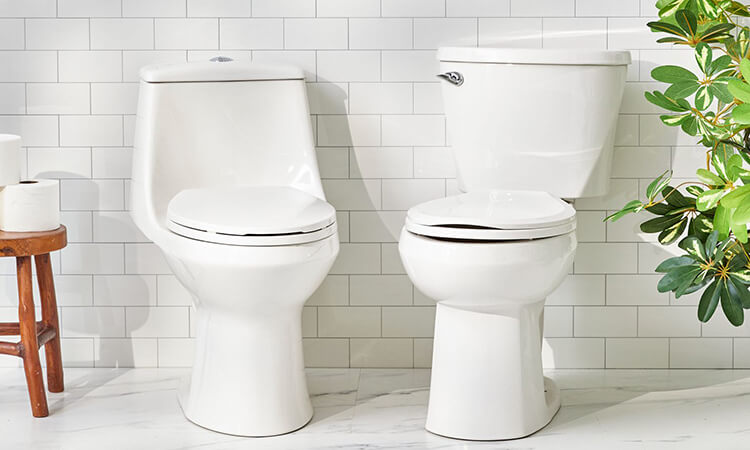 One-Piece vs. Two-Piece Toilets