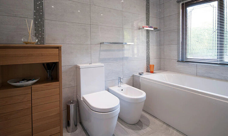 Pros and Cons of One-Piece Toilets