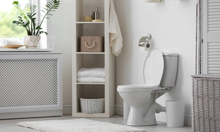 What Is ADA Toilet Height