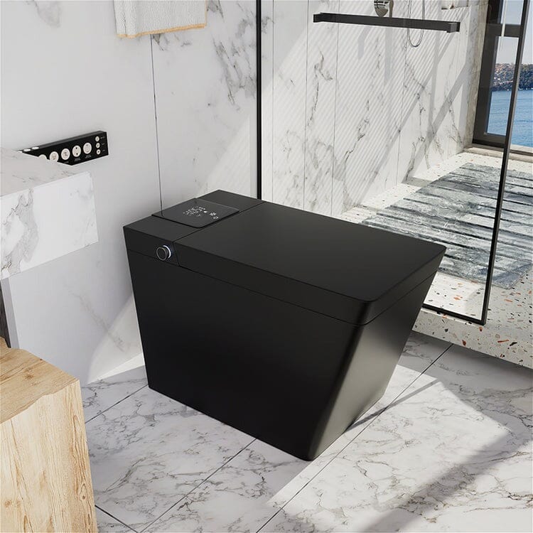 Matte black smart toilet to make up the difference