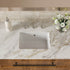 17 in x 12 in Undermount Ceramic Bathroom Sink with Overflow