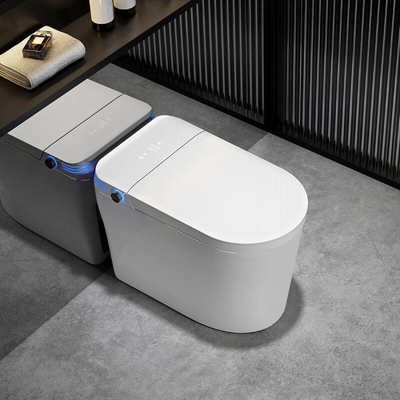 Modern White Oval Smart Toilet with Heated Seat, Automatic Power Flush Tankless