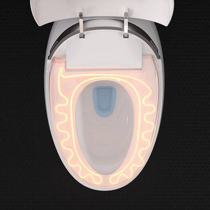 Modern Egg-Shaped Floor Mounted Smart Toilet with Built-in Water Tank
