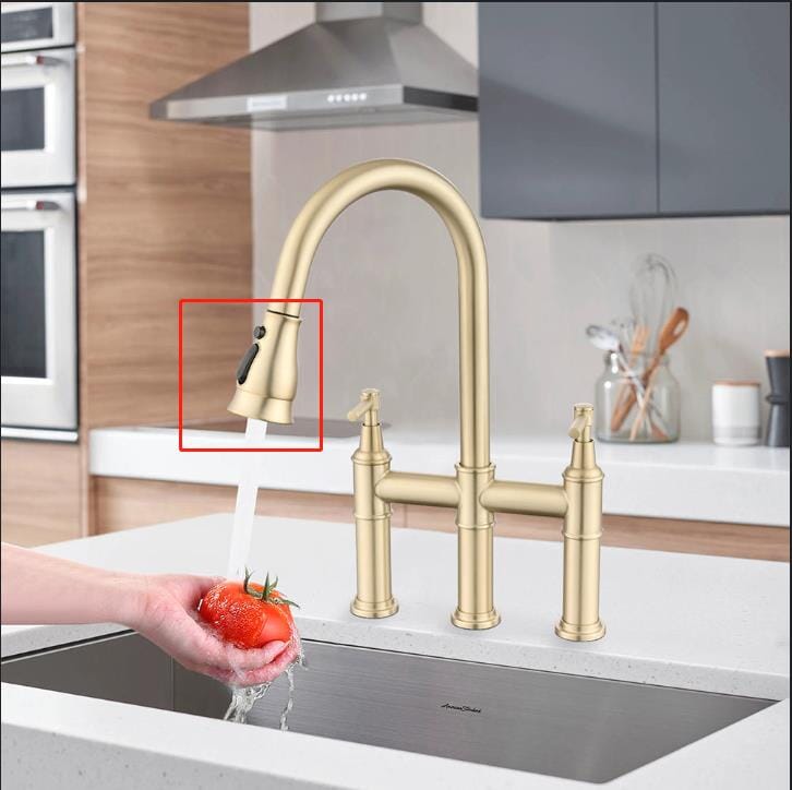Kitchen Faucet Pull-Down Spray Head