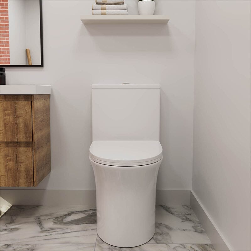 GIVINGTREE Modern Dual Flush Elongated Standard One Piece Toilet with Comfortable Seat Height