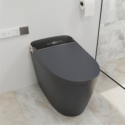 One Piece Smart Toilet with Bidet Built in, LED Night Light, Heated Seat, Warm Water