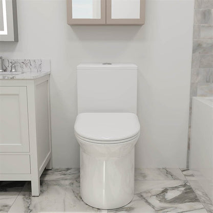 GIVINGTREE Siphonic Jet Dual Flush Elongated One Piece Toilet with Comfortable Seat Height