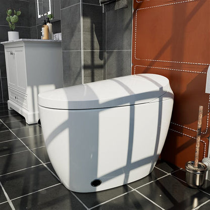 One-Piece Elongated Floor Smart Toilet with Seat Heating and Automatic Flushing