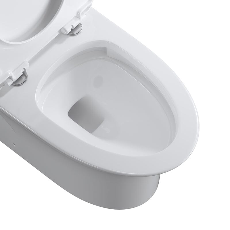 GIVINGTREE Modern Dual Flush Elongated Standard One Piece Toilet with Comfortable Seat Height