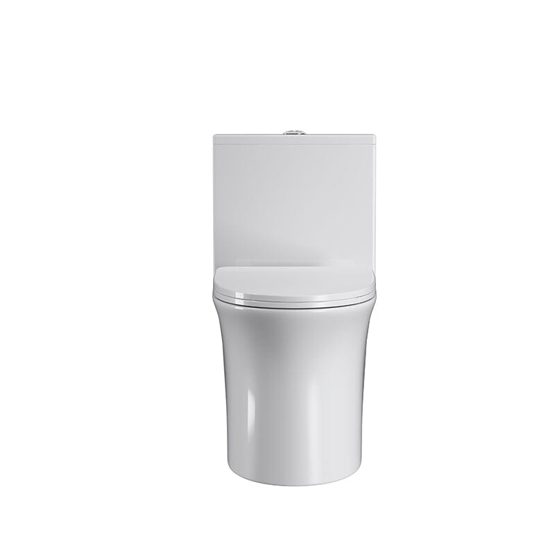 GIVINGTREE Modern Dual Flush Elongated Standard One Piece Toilet with Comfortable Seat Height