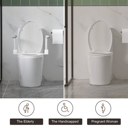 Accessibility bathroom toilet with ergonomic grab bars and sleek base