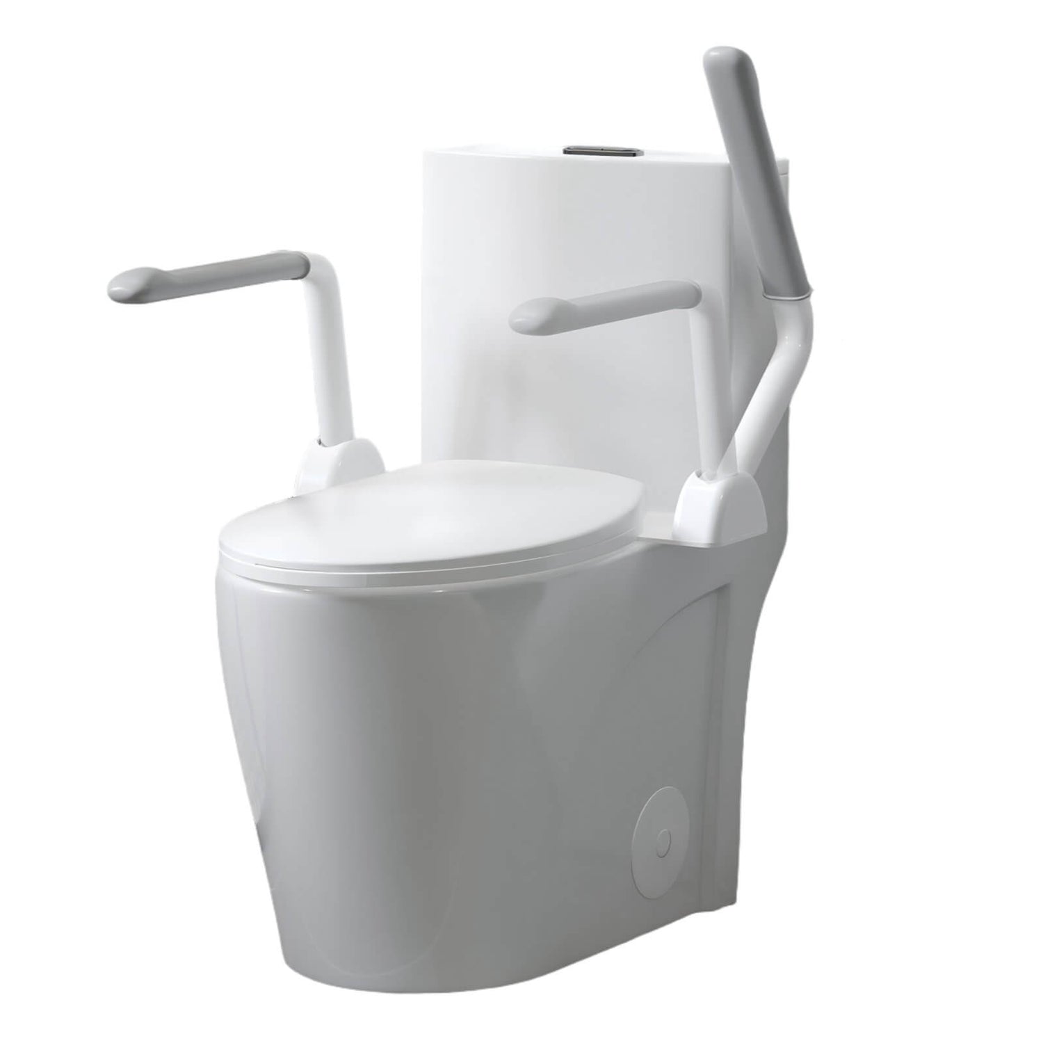 Accessible toilet design with reinforced support handles for stability