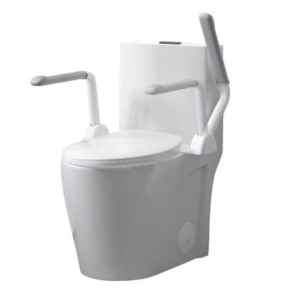 Accessible toilet design with reinforced support handles for stability