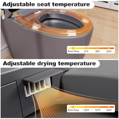One Piece Smart Toilet with Bidet Built in, LED Night Light, Heated Seat, Warm Water