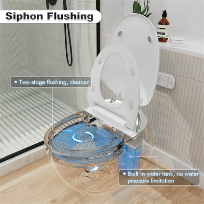 Modern Egg-Shaped Floor Mounted Smart Toilet with Built-in Water Tank