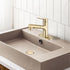 Brushed Gold Pull-Down Bathroom Faucet with Pop-Up Drain and Deck Plate