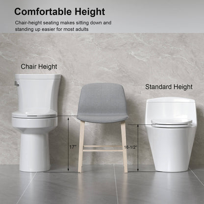 Comfort height toilet ideal for seniors and modern households