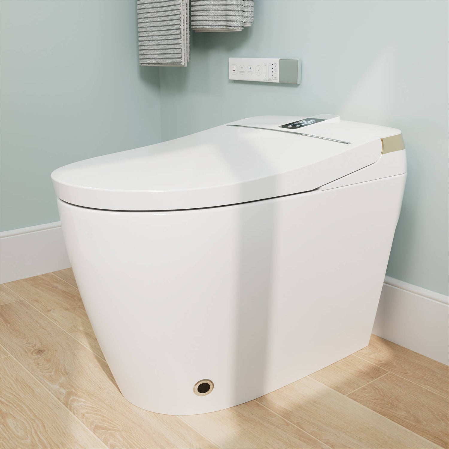 Elongated Smart Toilet with Bidet Built in Auto Open Close