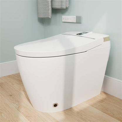 Elongated Smart Toilet with Bidet Built in Auto Open Close