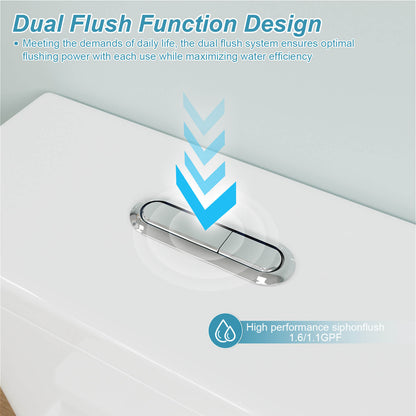 Floor Mount One-Piece Toilet 1.1GPF or 1.6 GPF Siphon Jet Dual Flushing