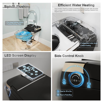 Giving Tree Elongated Black Smart Toilet with Remote Control and Automatic Cover