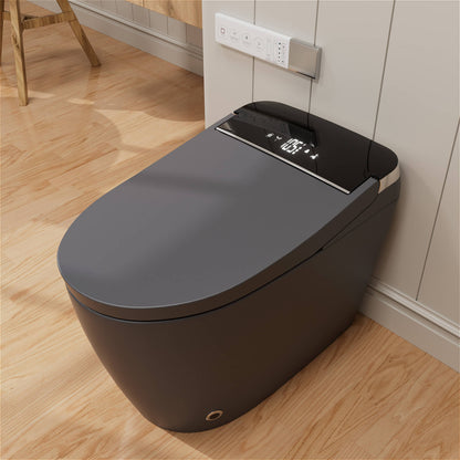 One Piece Smart Toilet with Bidet Built in, LED Night Light, Heated Seat, Warm Water