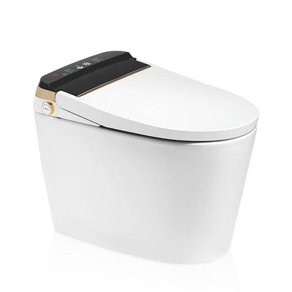 Elongated One-Piece Floor Mounted Smart Toilet with Built-in Water Tank