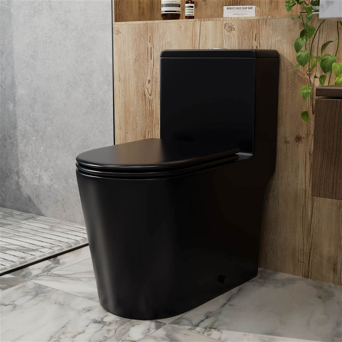 Matte Black One-Piece Floor Mount Toilet 1.0/1.28 GPF Dual Flush and Soft Close Seat
