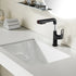 Matte Black Single Hole Pull-Down Bathroom Faucet with Lift Spout and Dual Spray Modes