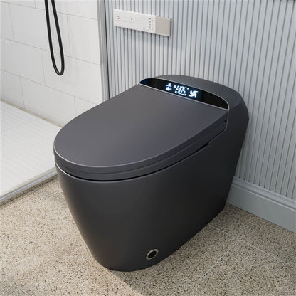 Matte Gray Floor Smart Toilet with Adjustable Mobile Drying