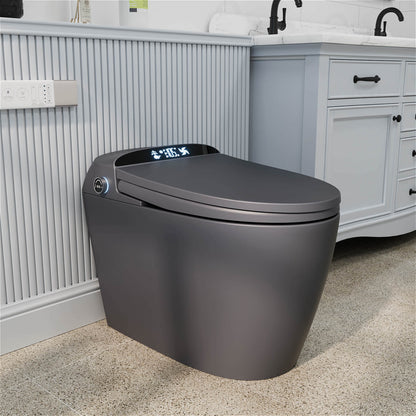 One-Piece Matte Gray Floor Smart Toilet with Adjustable Mobile Drying
