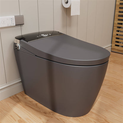 One Piece Smart Toilet with Bidet Built in, LED Night Light, Heated Seat, Warm Water