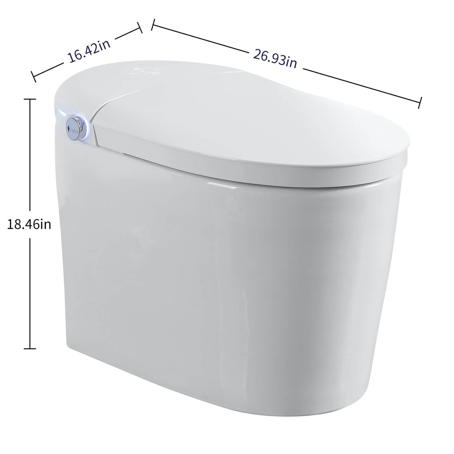 S31 G Dimensions