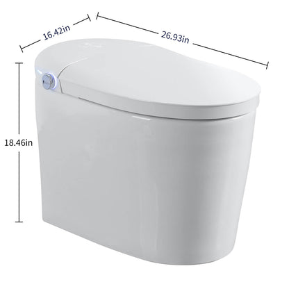 S31 G Dimensions