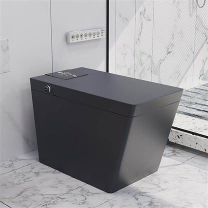 T2005 Smart Toilet Remote Control